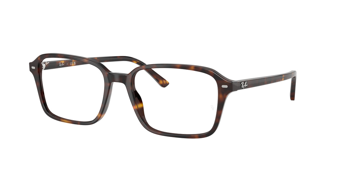 Brillen ray-ban rx5431 raimond 2012 carey square . größe 54mm - Hauptansicht