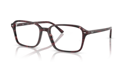 RAY-BAN RX5431 RAIMOND 8393 56