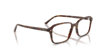 RAY-BAN RX5431 RAIMOND 8395 56