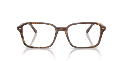 RAY-BAN RX5431 RAIMOND 8395 56