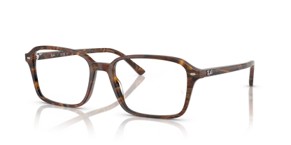RAY-BAN RX5431 RAIMOND 8395 56