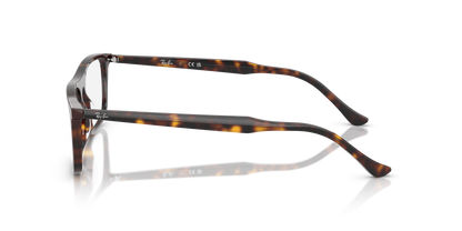 RAY-BAN RX5440 2012 53