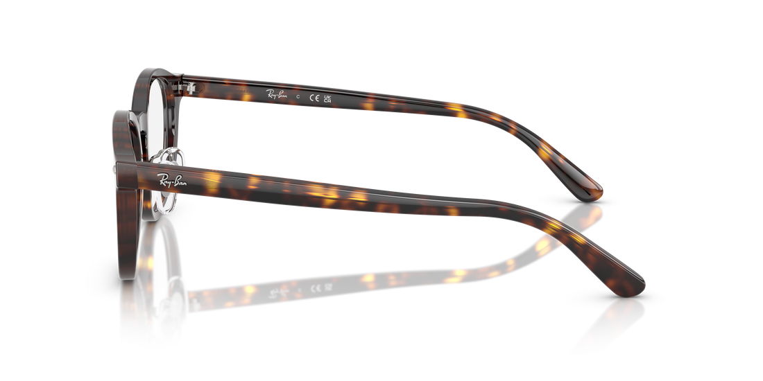 RAY-BAN RX5443D 2012 49