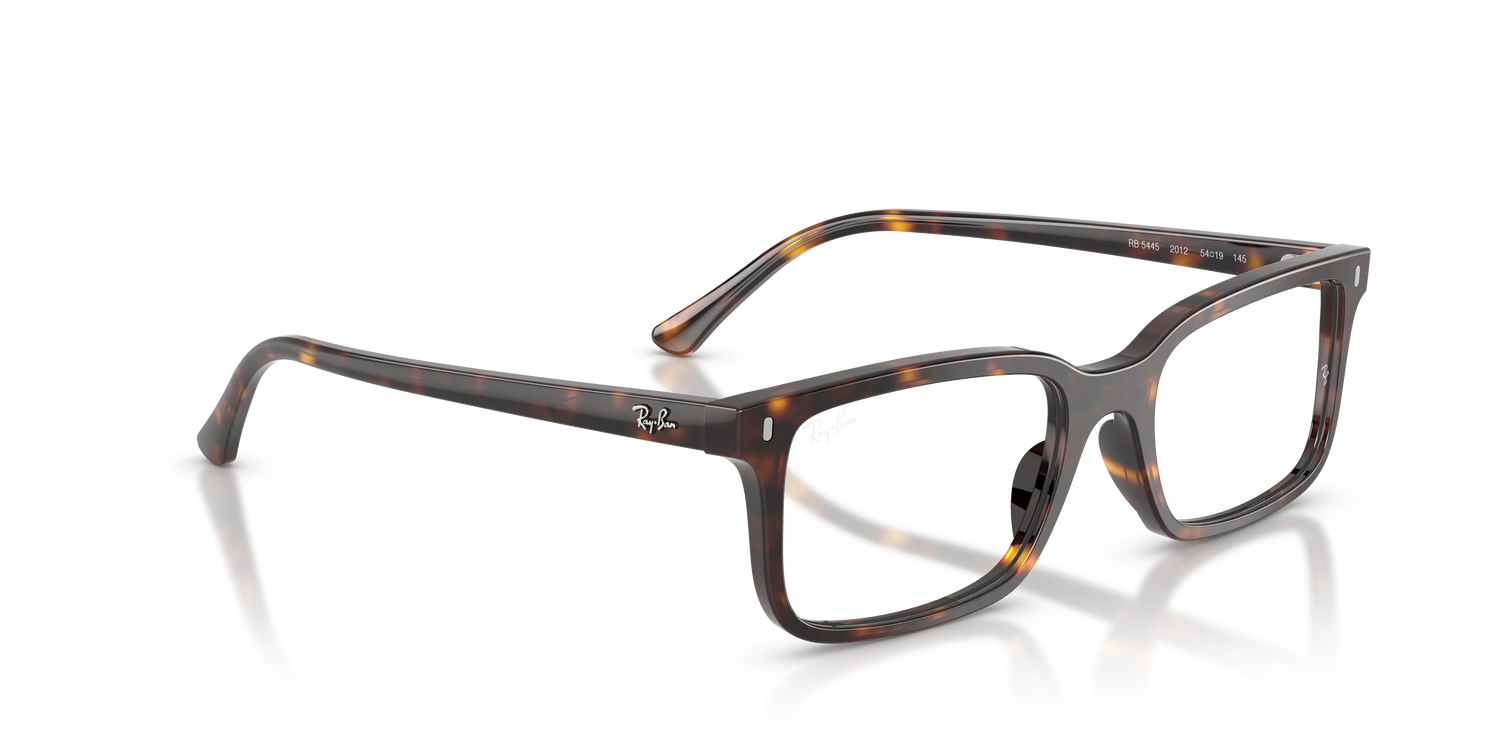 RAY-BAN RX5445 2012 52