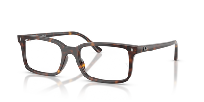 RAY-BAN RX5445 2012 52