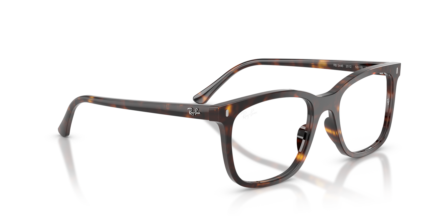 RAY-BAN RX5446 2012 53