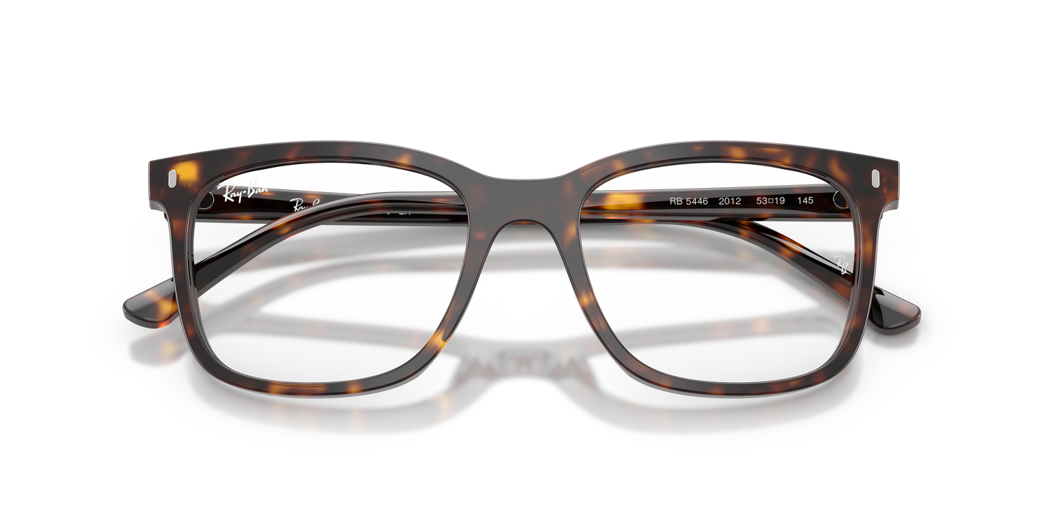 RAY-BAN RX5446 2012 51