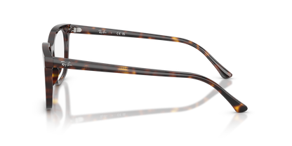 RAY-BAN RX5446 2012 51