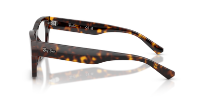 RAY-BAN RX5448 2012 55