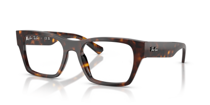 RAY-BAN RX5448 2012 53