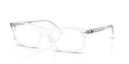 RAY-BAN RX5450 2001 54