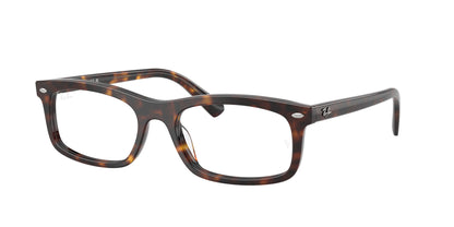 RAY-BAN RX5450 2012 56