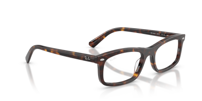 RAY-BAN RX5450 2012 56