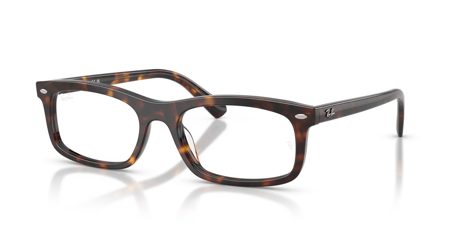 RAY-BAN RX5450 2012 56