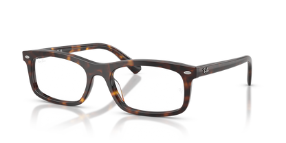 RAY-BAN RX5450 2012 56