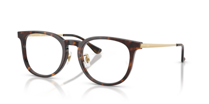 RAY-BAN RX5453D 2012 52