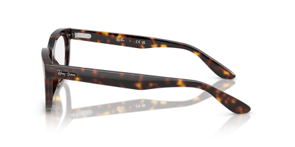 RAY-BAN RX5489 BALORETTE 2012 56