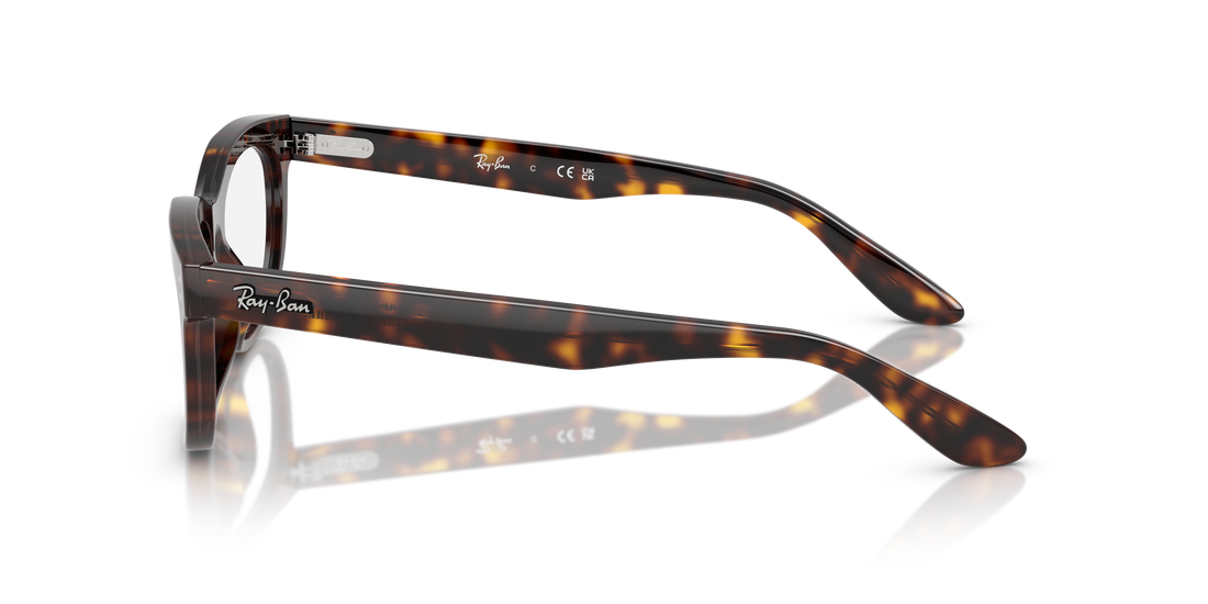 RAY-BAN RX5489 BALORETTE 2012 54