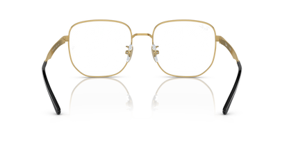 RAY-BAN RX6503D 2991 55
