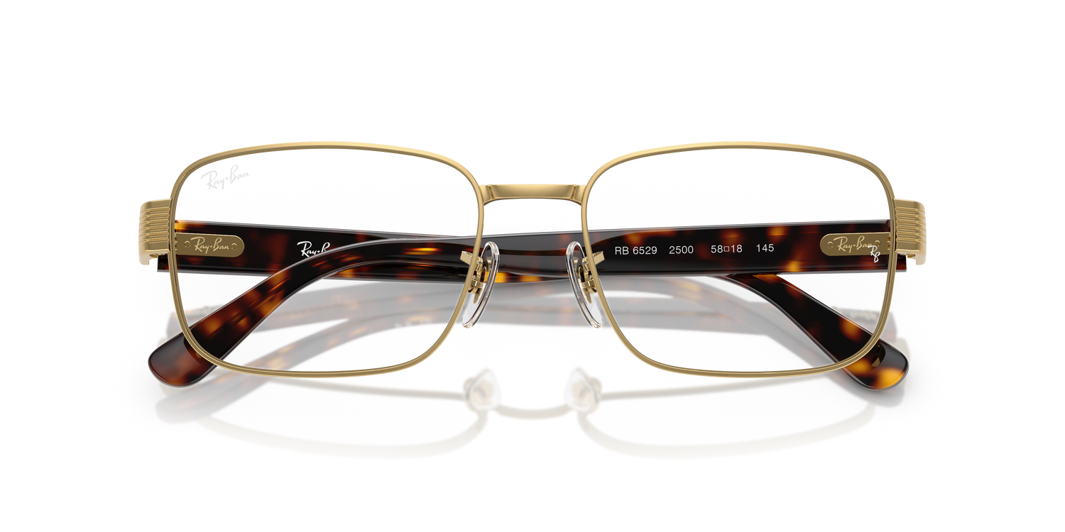 RAY-BAN RX6529 2500 54