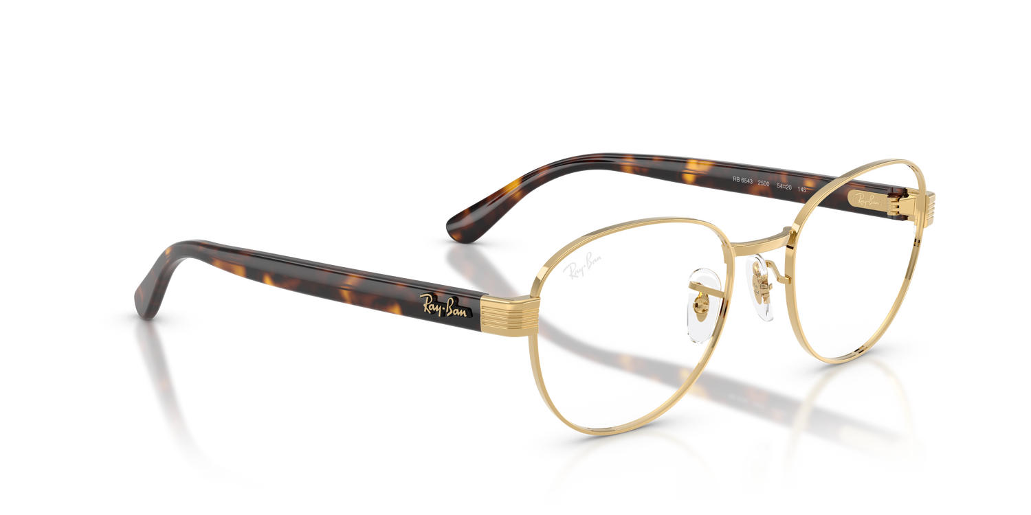 RAY-BAN RX6543 2500 54