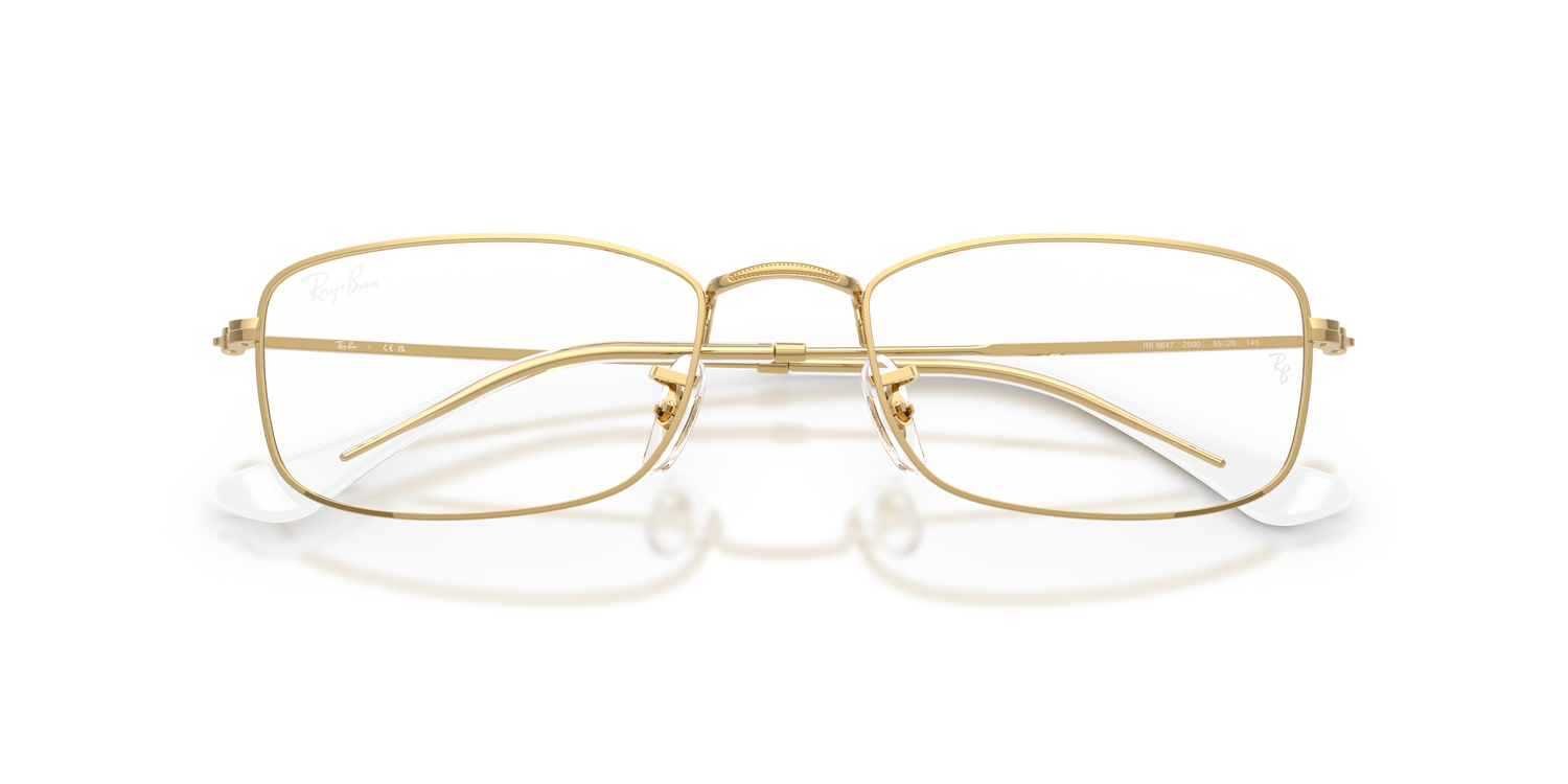 RAY-BAN RX6647 2500 53