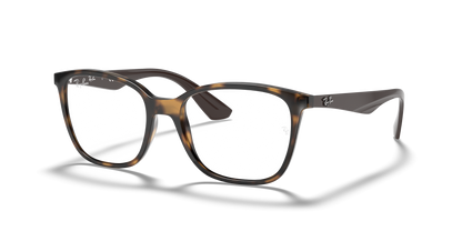 RAY-BAN RX7066 5577 54