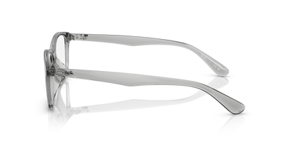 RAY-BAN RX7094D 8012 55