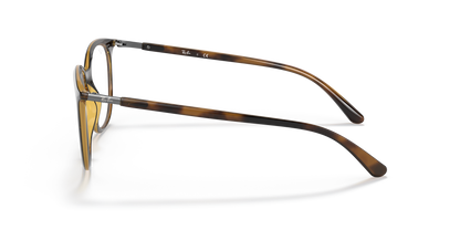 RAY-BAN RX7190 2012 53