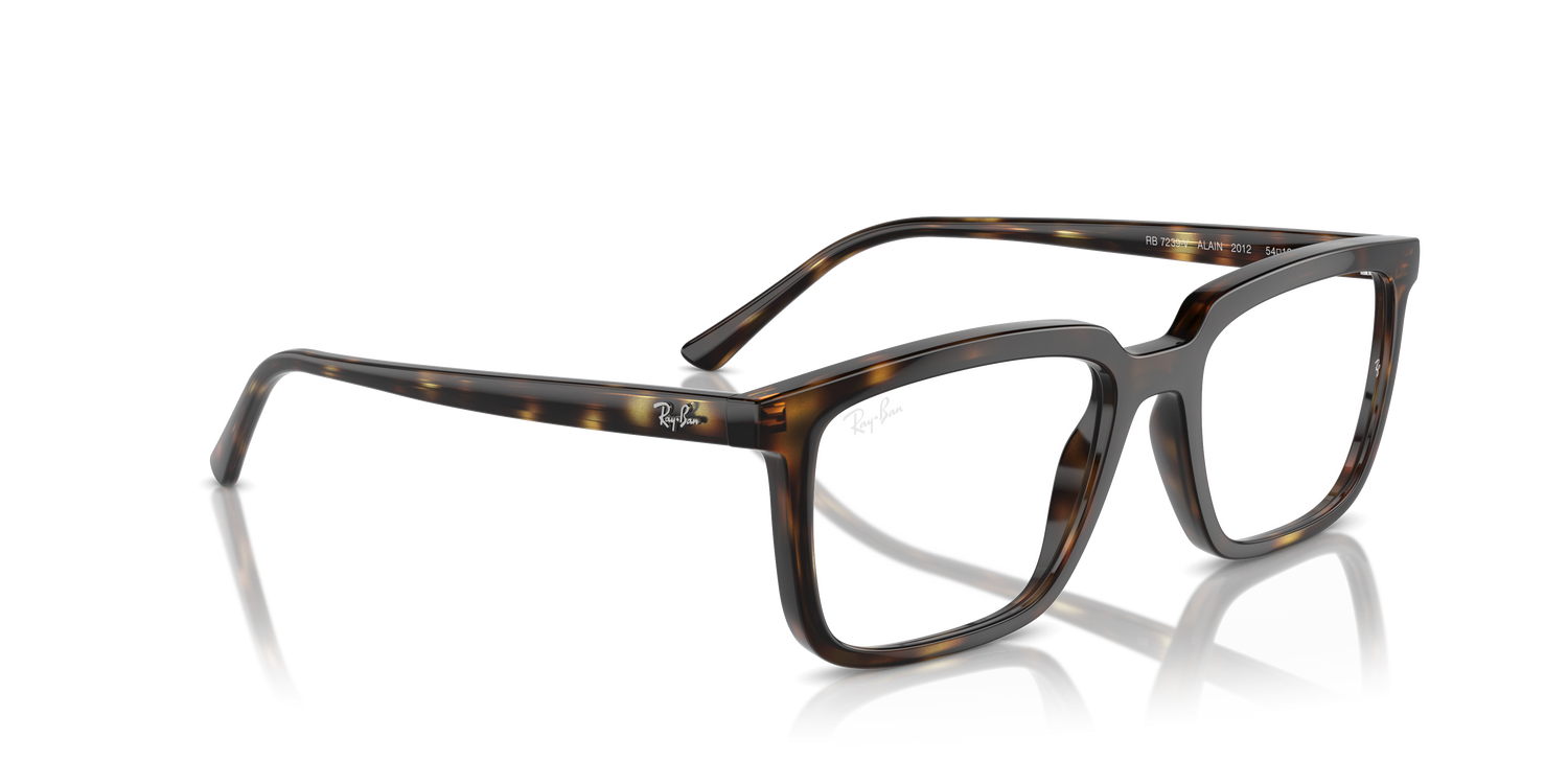 RAY-BAN RX7239 ALAIN 2012 54