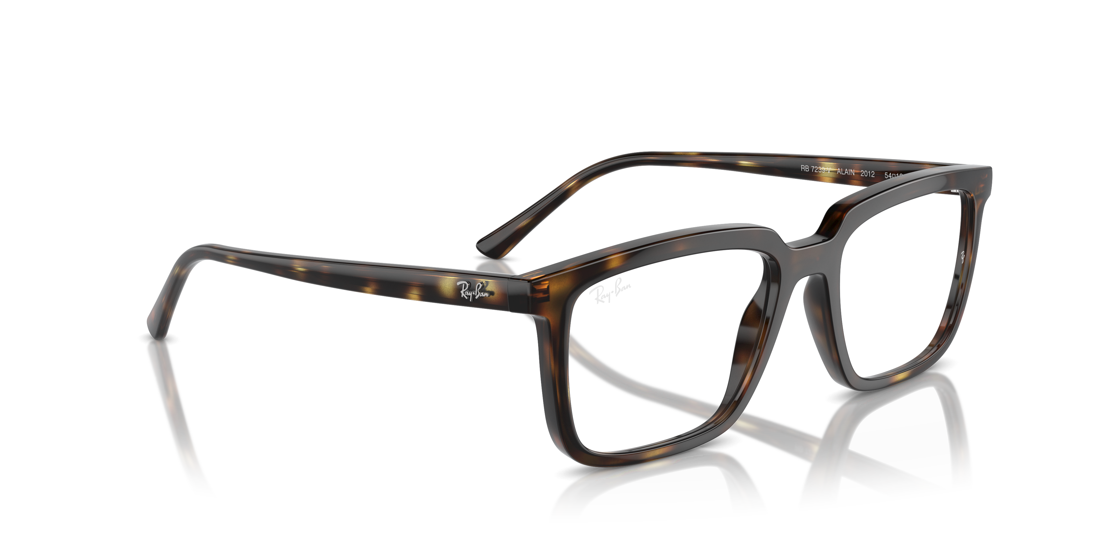 RAY-BAN RX7239 ALAIN 2012 54