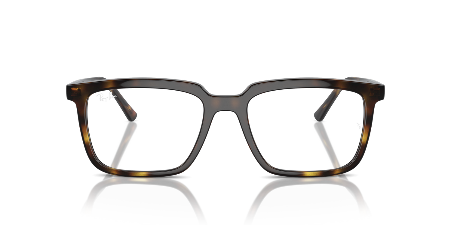 RAY-BAN RX7239 ALAIN 2012 54