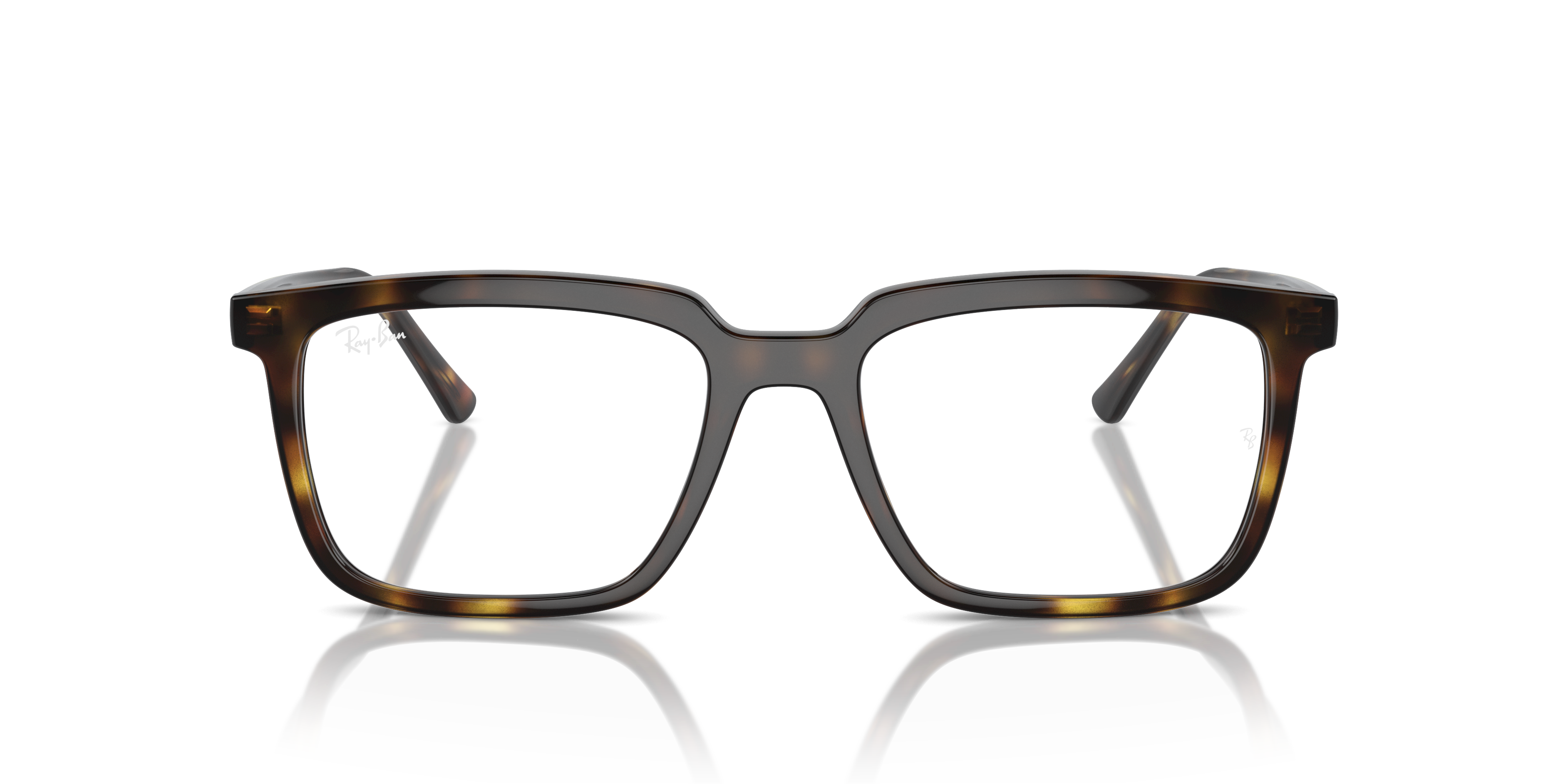 RAY-BAN RX7239 ALAIN 2012 54