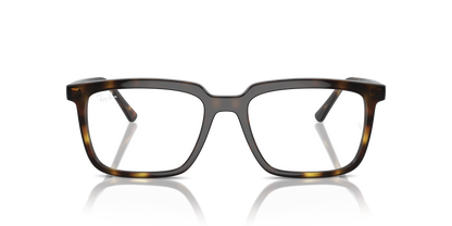 RAY-BAN RX7239 ALAIN 2012 54