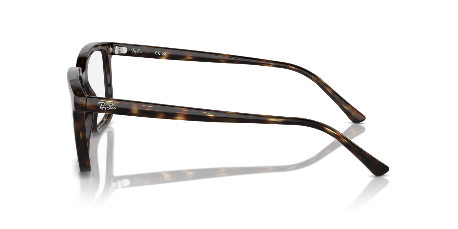 RAY-BAN RX7239 ALAIN 2012 54 - 16