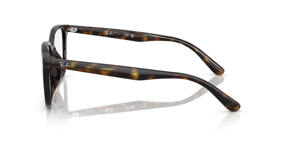 RAY-BAN RX7248D 2012 55