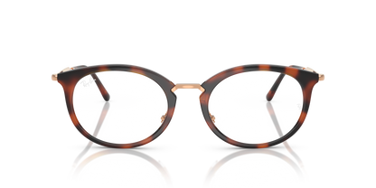RAY-BAN RX7255 5687 51