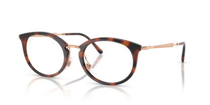 RAY-BAN RX7255 5687 51