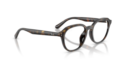 RAY-BAN RX7259D 2012 52