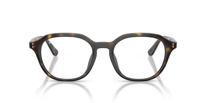 RAY-BAN RX7259D 2012 52