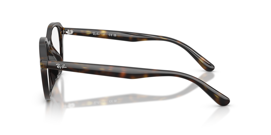 RAY-BAN RX7259D 2012 52