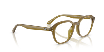 RAY-BAN RX7259D 8437 52