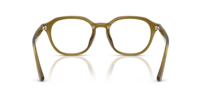 RAY-BAN RX7259D 8437 52