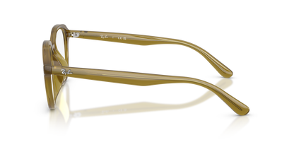 RAY-BAN RX7259D 8437 52