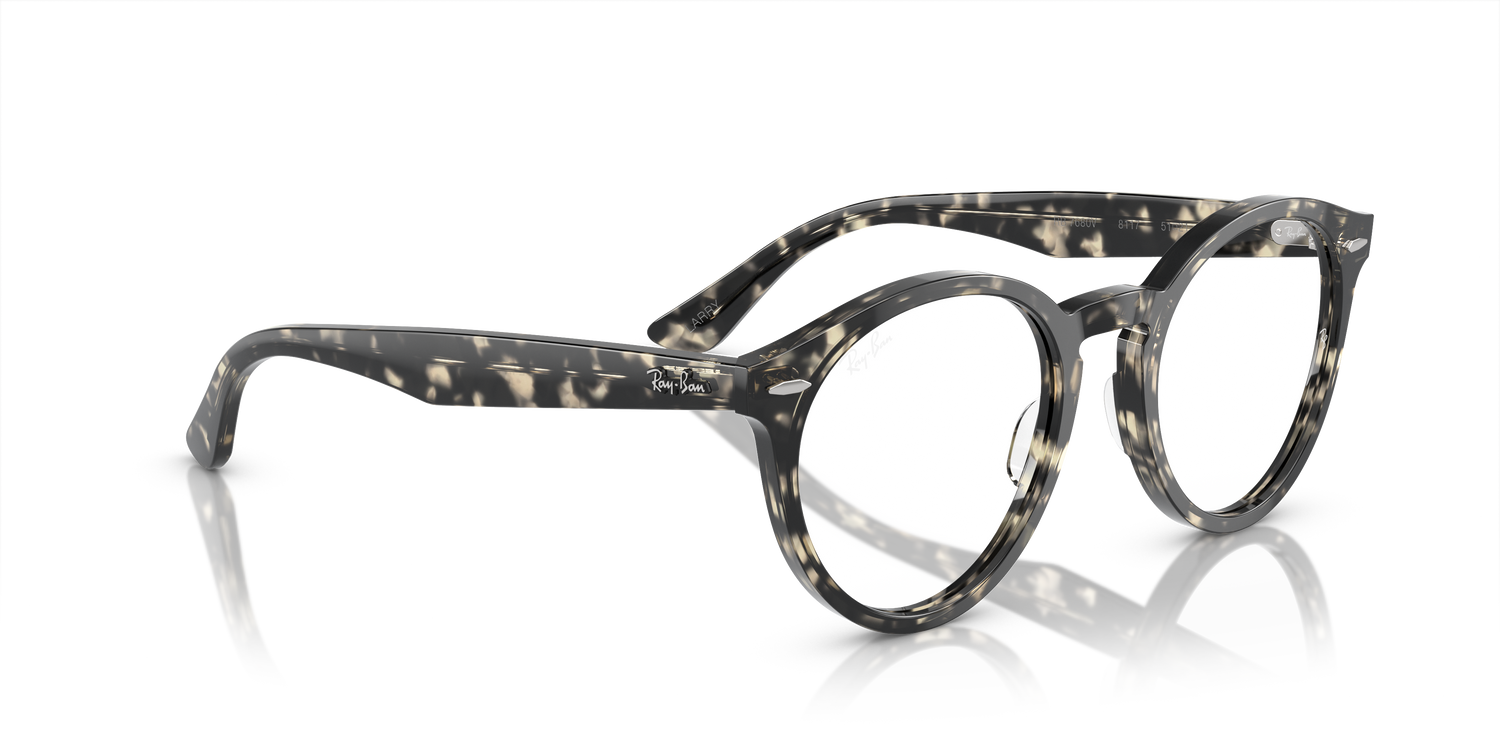 RAY-BAN RX7680V LARRY 8117 49
