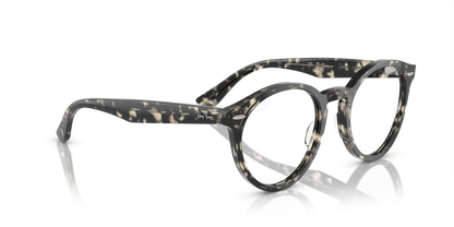 RAY-BAN RX7680V LARRY 8117 49