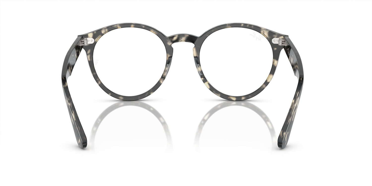 RAY-BAN RX7680V LARRY 8117 49