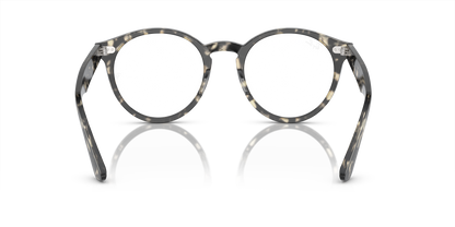 RAY-BAN RX7680V LARRY 8117 49