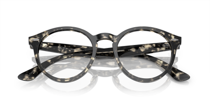 RAY-BAN RX7680V LARRY 8117 49