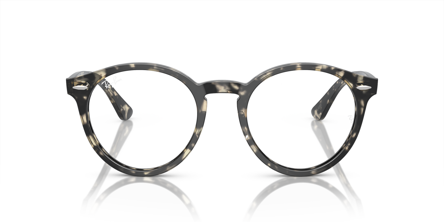 RAY-BAN RX7680V LARRY 8117 49